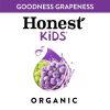 Honest Kids Organic Goodness Grapeness Grape Fruit Juice, 6.75 fl oz, 8 Pouches